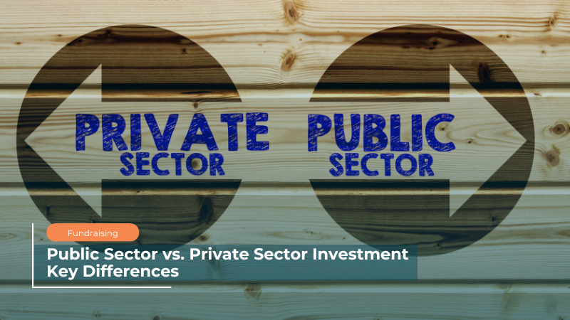 Public Sector vs. Private Sector Investment